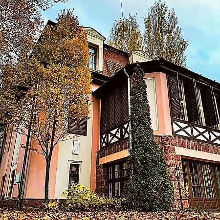 Party Villa Holiday Rent Balatonföldvár Extérieur photo