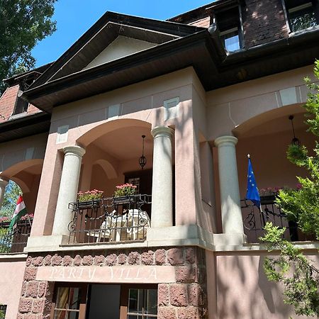 Party Villa Holiday Rent Balatonföldvár Extérieur photo
