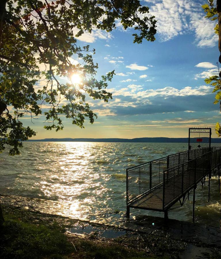 Party Villa Holiday Rent Balatonföldvár Extérieur photo