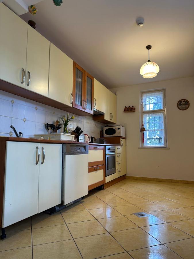 Party Villa Holiday Rent Balatonföldvár Extérieur photo