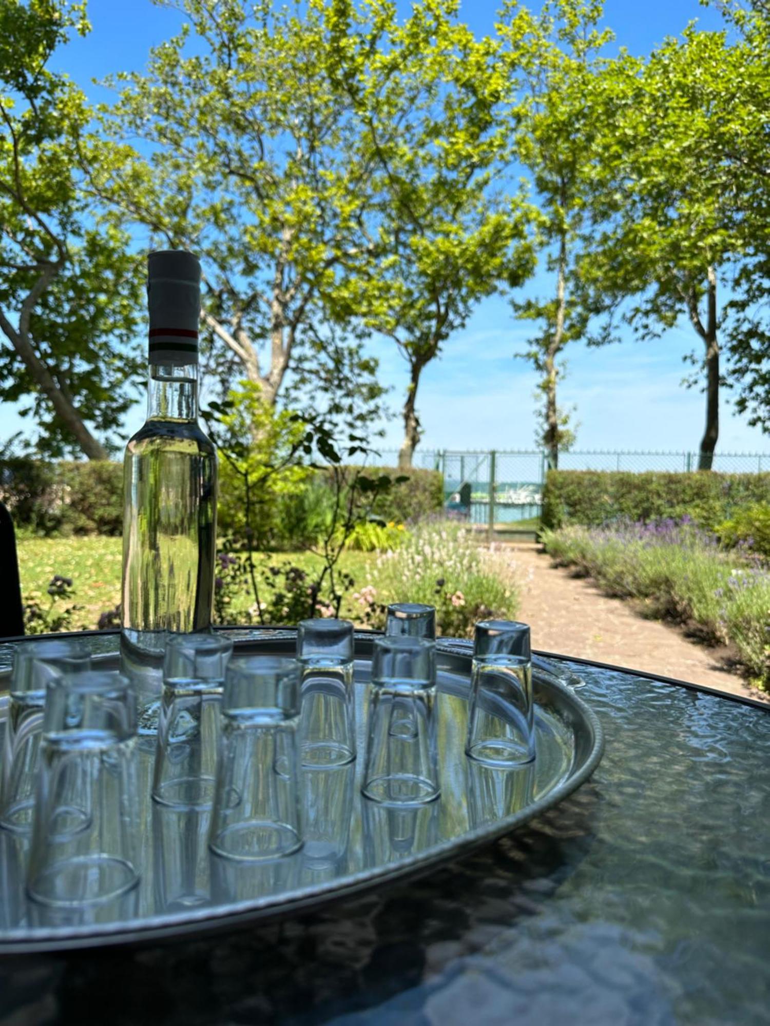Party Villa Holiday Rent Balatonföldvár Extérieur photo